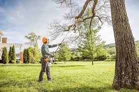 Best Hazardous Tree Removal  in Swainsboro, GA