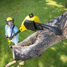 Swainsboro, GA Tree Care Company